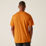 Camiseta de hombre Regatta Fingal Stretch