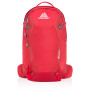 Mochila Gregory Salvo 24