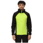 Chaqueta de invierno para hombre Regatta Andreson VII Hybrid