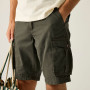 Pantalones cortos de hombre Regatta Shorebay Shorts II