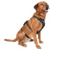 Arnés para perro Mountain Paws 3-Strap Dog Harness