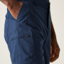 Pantalones cortos de hombre Regatta Dalry Short