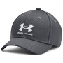 Gorra para niños Under Armour B Essential Low Lockup Adj Pitch Gray