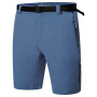 Pantalones cortos de hombre Dare 2b Tuned In ProShort