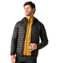 Chaqueta acolchada para hombre Regatta Haile