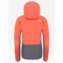 Chaqueta de mujer The North Face Apex Flex GTX 2.0