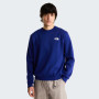 Sudadera de hombre The North Face M Evolution Box Nse Regular Crew