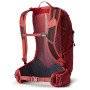Mochila Gregory Miko 20