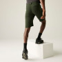 Pantalones cortos de hombre Regatta Highton Shorts Long II