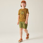 Camiseta para niños Dare 2b Trailbazer III Tee Dark Cumin