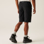 Pantalones cortos de hombre Regatta Highton Shorts Long II