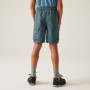 Pantalones cortos para niños Regatta Sorcer Shorts III