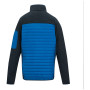Chaqueta de hombre Regatta Ceden Hybrid