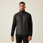 Chaqueta de hombre Regatta Colliston