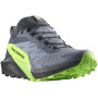 Zapatillas de carrera para hombre Salomon Sense Ride 5 Gore-Tex gris Flint Stone / Black / Green Gecko