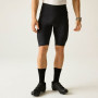 Pantalones cortos de hombre Dare 2b Ultra short