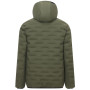 Chaqueta acolchada para hombre Regatta Astrel