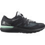 Calzado de hombre Salomon Sonic 4 Gore-Tex