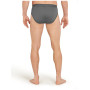 Calzoncillos de hombre Icebreaker Mens Anatomica Briefs