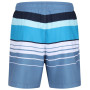 Pantalones cortos de hombre Regatta Loras Swim Short m