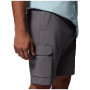 Pantalones cortos de hombre Columbia Silver Ridge™ Utility Cargo Short