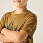 Camiseta para niños Regatta Alvarado Wood Brown