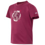 Camiseta para niños Regatta Alvarado IX