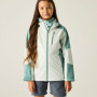 Chaqueta para niños Regatta Junior Calderdale III IvyMossOMist