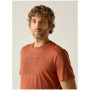 Camiseta de hombre Regatta Fingal Stretch