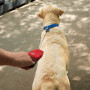 Correa para perro Nite Ize RadDog™ Retractable Pocket Leash