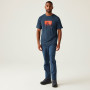 Camiseta de hombre Regatta Fingal Stretch