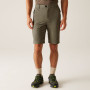 Pantalones cortos de hombre Regatta Highton Shorts Long II