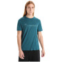 Camiseta funcional de hombre Icebreaker Men Tech Lite II SS Tee Cadence Paths