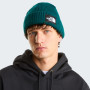 Gorro The North Face Salty Lined Beanie