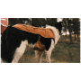 Ropa perro Ruffwear Overcoat Fuse™ Insulated Vest