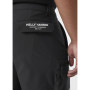 Pantalones cortos de hombre Helly Hansen Move Qd Shorts