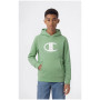 Sudadera para niños Champion Hooded Sweatshirt B