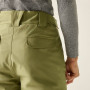 Pantalones de hombre Dare 2b Baseplate Insulated Pant