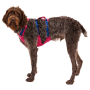 Arnés para perro Ruffwear Flagline™ Harness