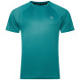 Talla: L / Color: azul/verde