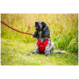 Arnés para perro Mountain Paws Dog Harness