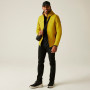 Chaqueta de hombre Regatta Rigain