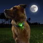 Luz para perro Nite Ize NiteDog™ Rechargeable Pet Light