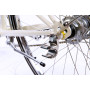 Remolque para bicicleta Thule Coaster XT