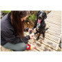Botiquín para perros Mountain Paws Compact Dog First Aid Kit