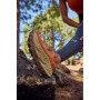 Zapatillas de carrera para mujer New Balance Fresh Foam X More Trail v3