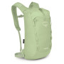 Color: verde claro