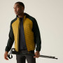 Chaqueta de hombre Regatta Andreson Hybrid