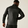 Chaqueta de hombre Regatta Ceden Hybrid