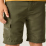 Pantalones para niños Regatta Sorcer Z/O Trousers III Treetop